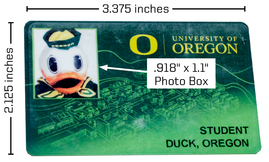 mockup of the ID card showing dimensions as described on the left