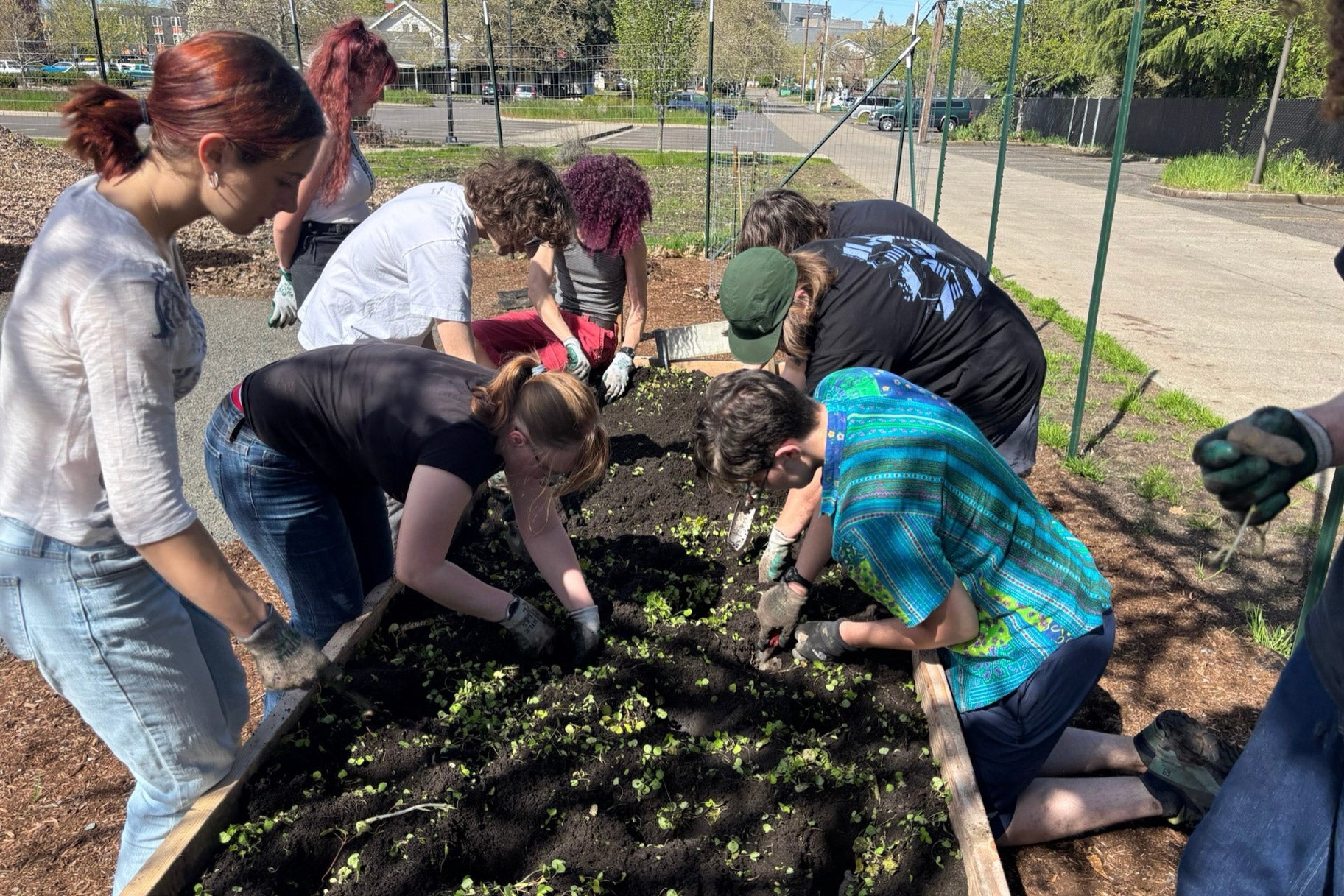 Students use trowels in a garden bed during a work party.
