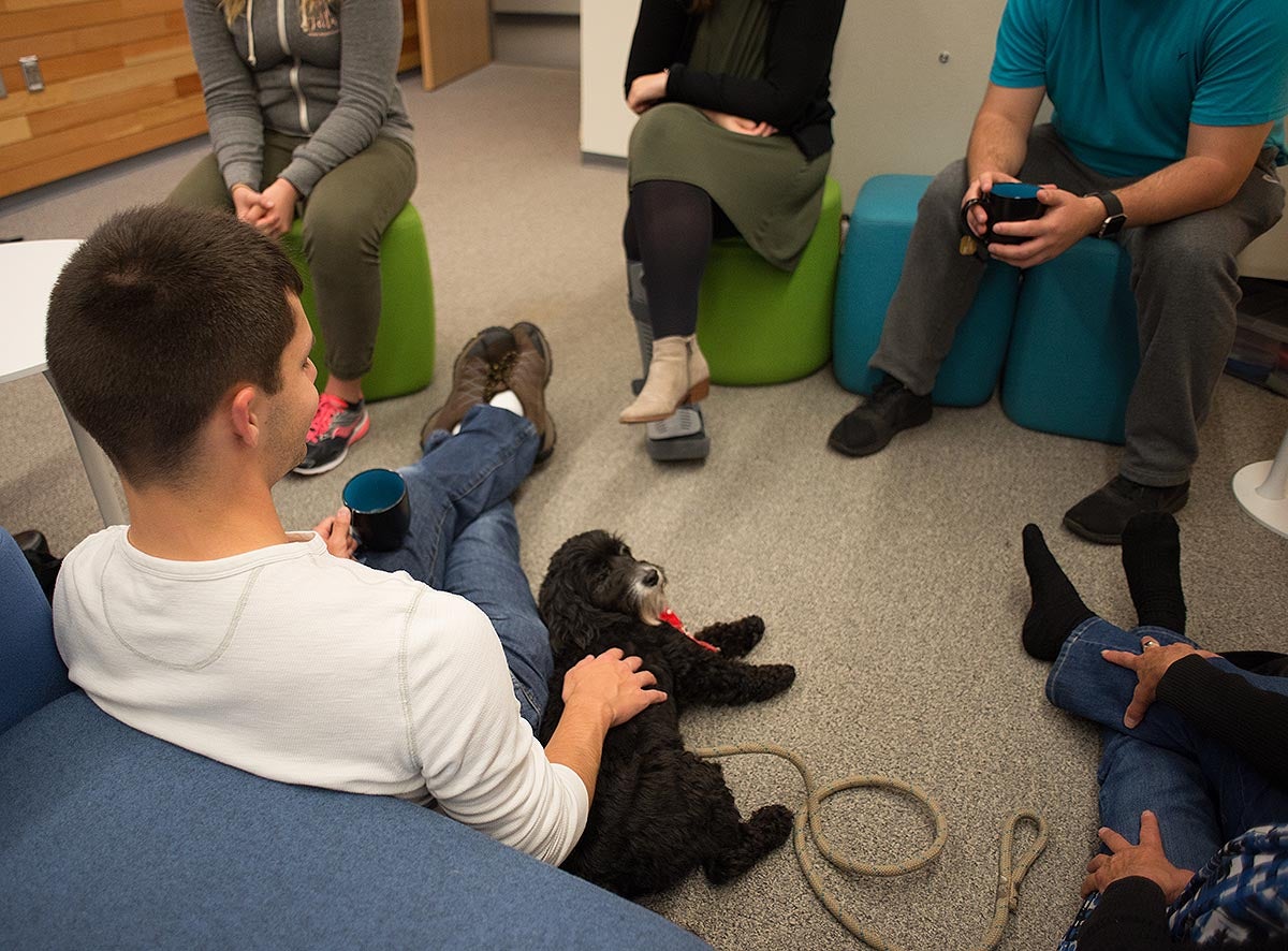 Students relax while petting therapy dogs at the Duck Nest